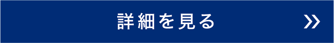 詳細を見る